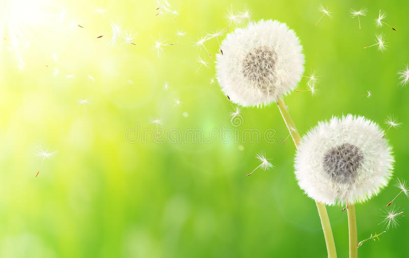 13,072 Breath Life Photos - Free & Royalty-Free Stock Photos from Dreamstime