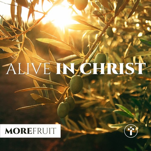 Stream More fruit: Alive in Christ | Louis Kotzé by Hatfield Christian  Church | Listen online for free on SoundCloud