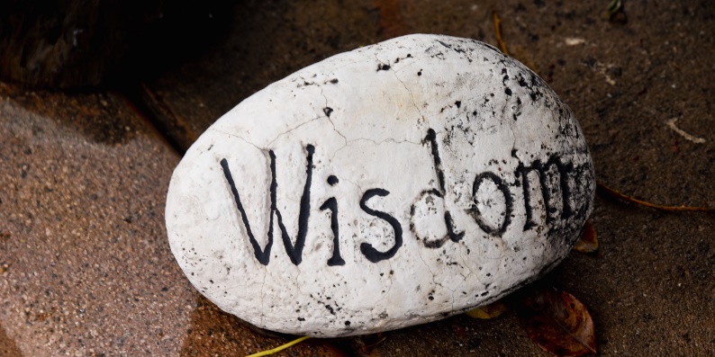 Wisdom finds truth | Curious Times