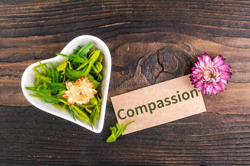 23,769 Compassion Photos - Free & Royalty-Free Stock Photos from Dreamstime