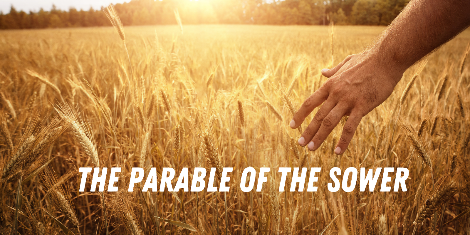 The Parable of the Sower - Preachers Corner
