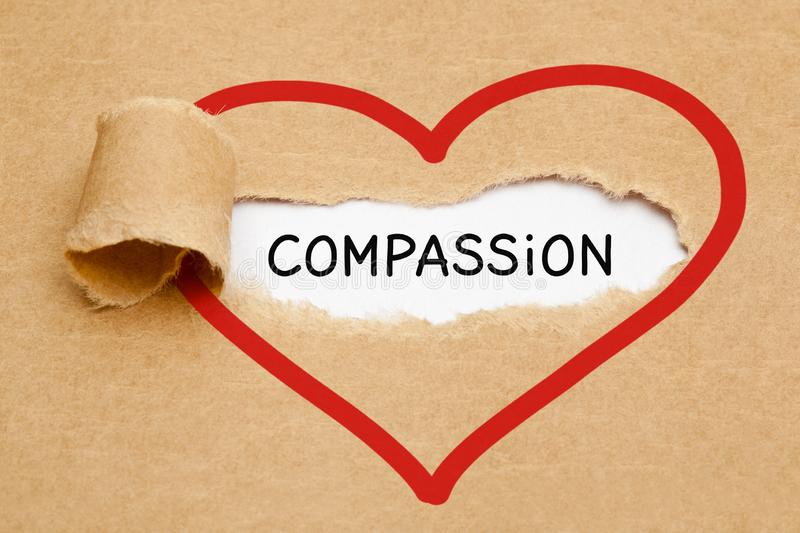 27,887 Compassion Photos - Free & Royalty-Free Stock Photos from Dreamstime