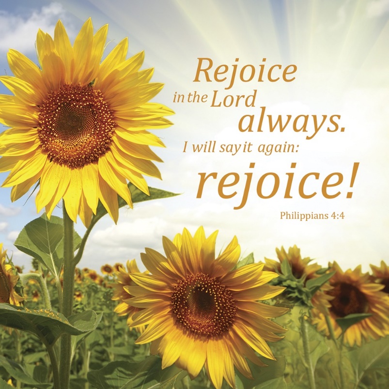 Card: "Rejoice in the Lord Always" - LifeSource Christian Bookshop