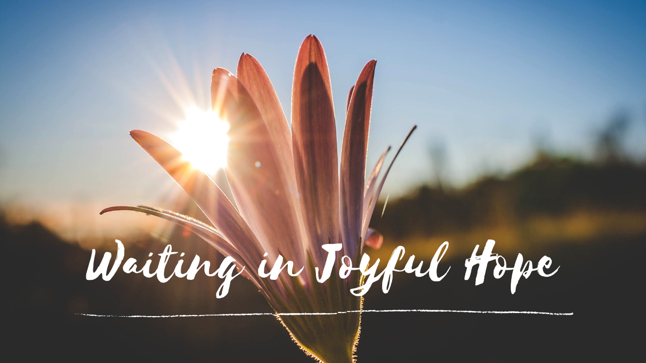 Waiting in Joyful hope: from Easter to Pentecost