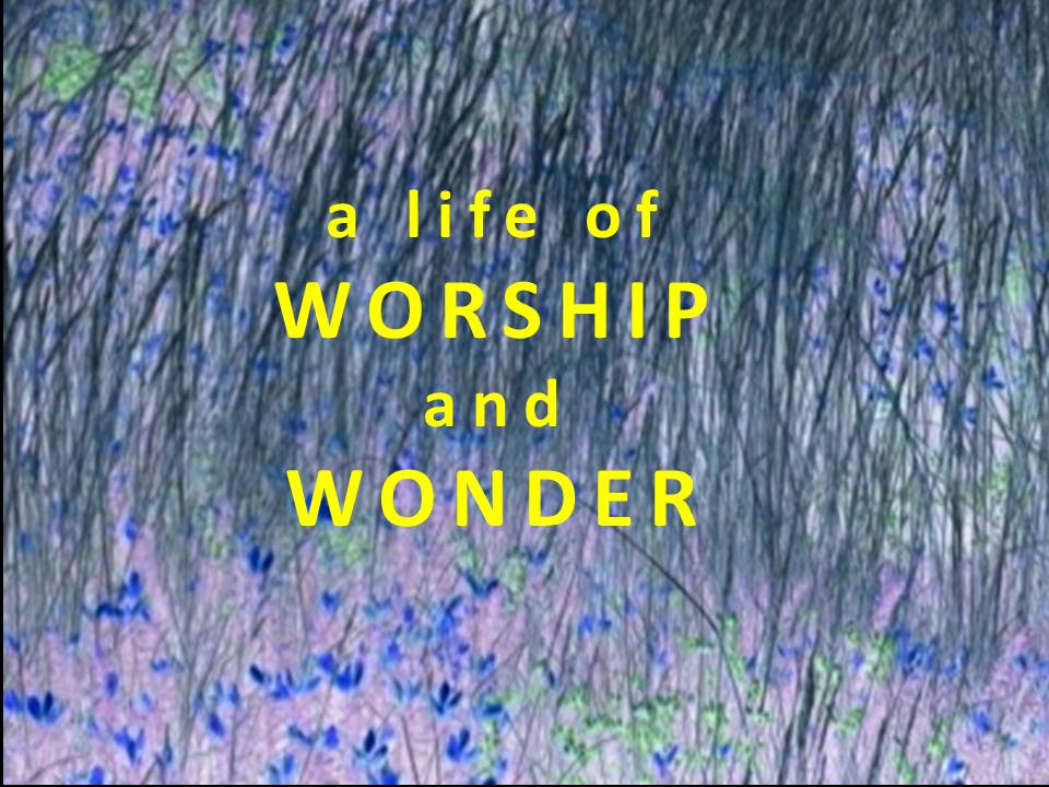 a life of WORSHIP and WONDER