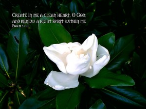 create in me a clean heart, O God, and renew a steadfast spirit / a right  spirit within me
