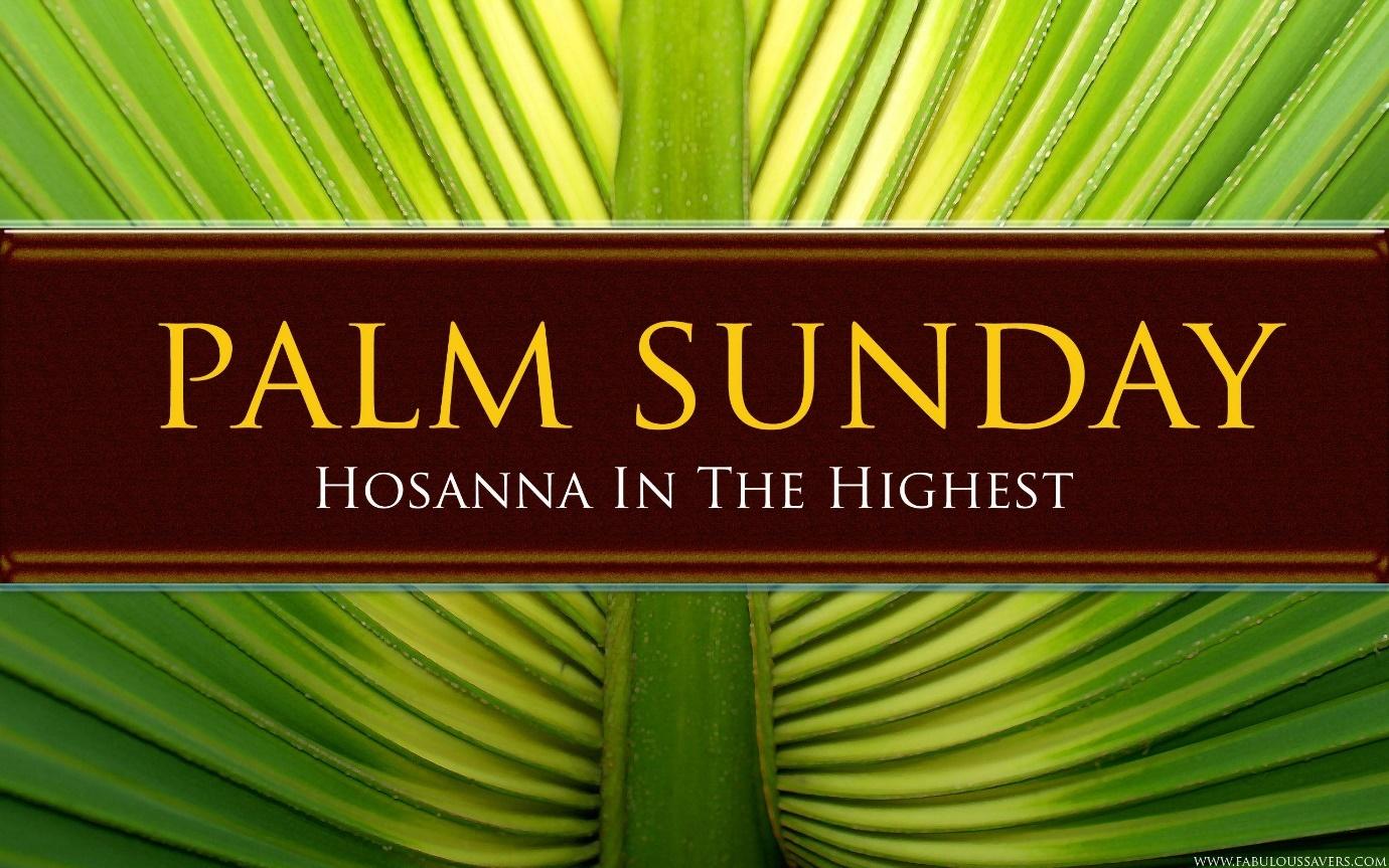 Free Palm Sunday computer desktop wallpaper | Happy palm sunday, Palm sunday,  Palm sunday quotes