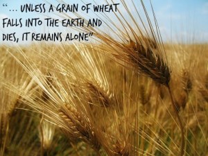 Lenten Reflection 19: Against the Grain – Salem Evangelical Free Church