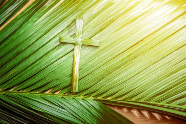 ᐈ Palm sunday cross stock photos, Royalty Free palm sunday cross photos |  download on Depositphotos®