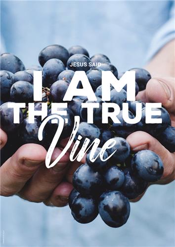 I am True Vine : General - Greeting Cards - Cards :: Christian Publishing  and Outreach (CPO)