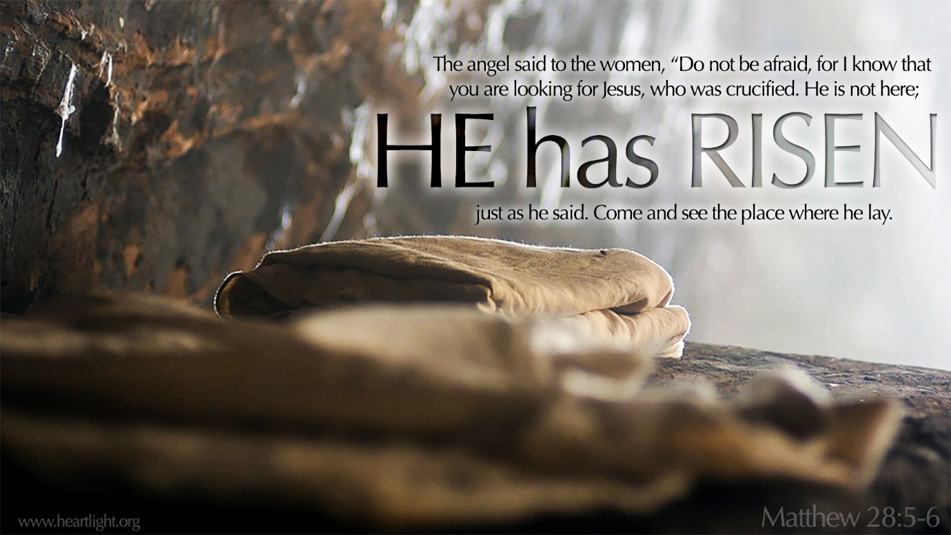Matthew 28:5-6 / He is Risen! — Heartlight® Gallery