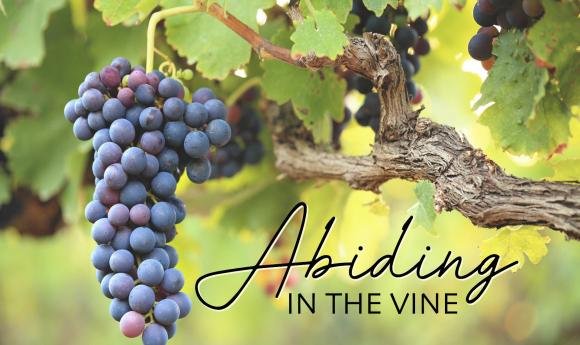 When you abide in the vine, fruit grows! — Power Packed Promises