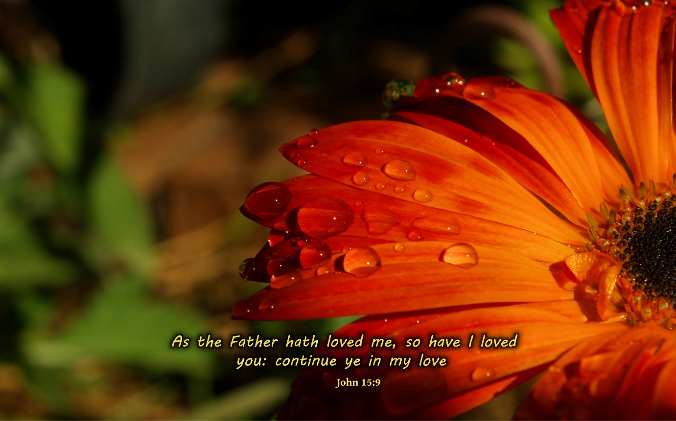 John 15:9 - Free Nature & Bible Desktop Background / Wallpaper