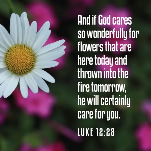 A white and yellow flower with white text

AI-generated content may be incorrect.