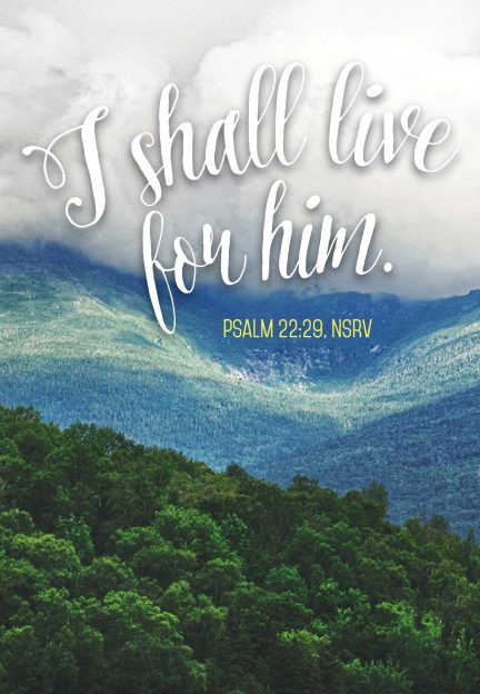 A landscape with trees and clouds

AI-generated content may be incorrect.