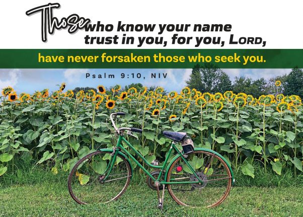 A bicycle in a field of sunflowers

AI-generated content may be incorrect.