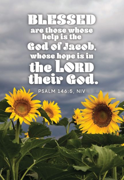 A group of sunflowers with white text

AI-generated content may be incorrect.