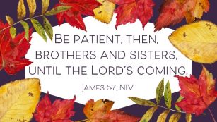 A frame of colorful leaves

AI-generated content may be incorrect.