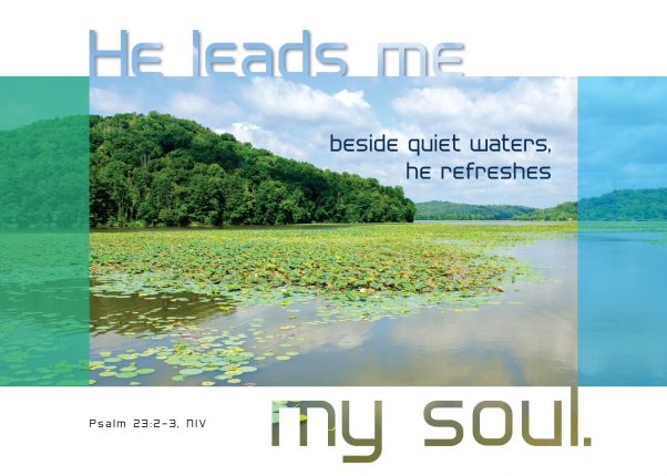 A lake with lily pads and trees

AI-generated content may be incorrect.