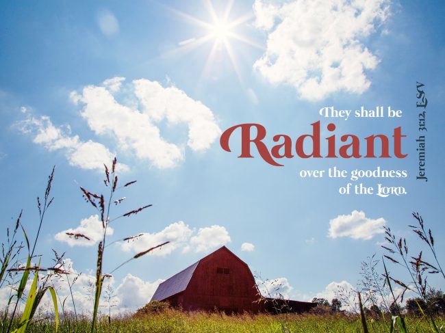 A barn in a field with blue sky and clouds
AI-generated content may be incorrect.