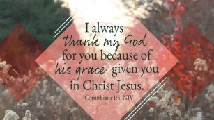 A close up of a flower
AI-generated content may be incorrect.