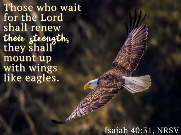 A bird flying with text above it

AI-generated content may be incorrect.