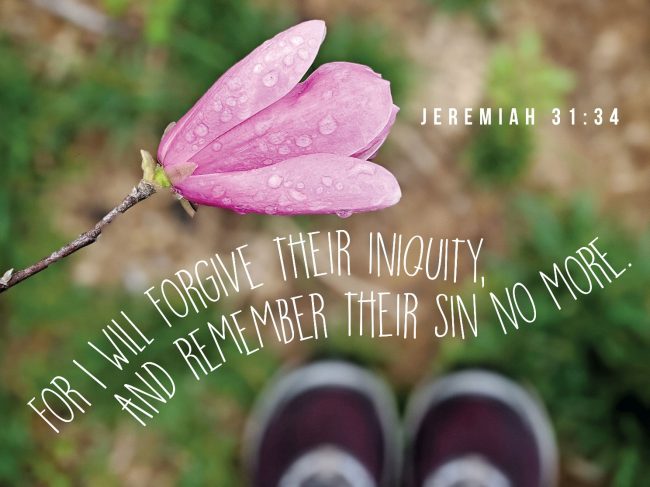 A pink flower with water drops on it

AI-generated content may be incorrect.