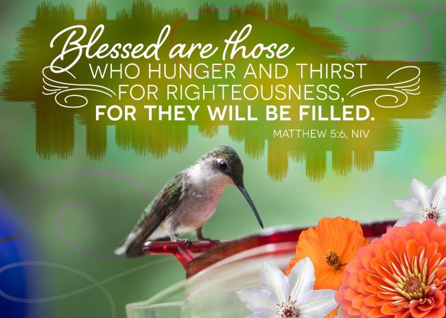 A hummingbird on a red container with flowers

AI-generated content may be incorrect.