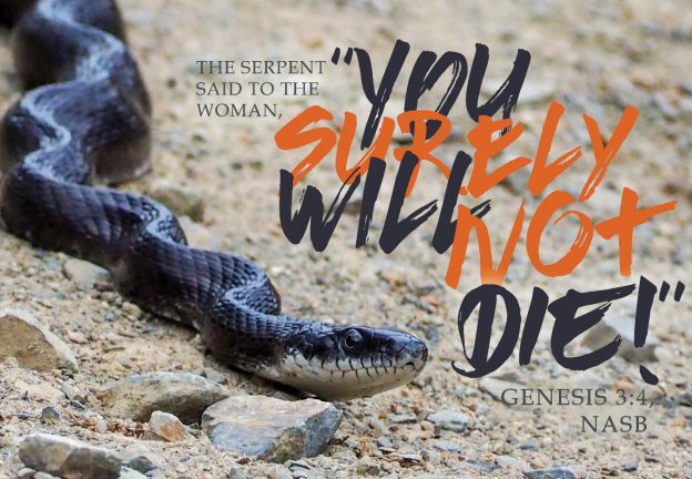 A snake on the ground
AI-generated content may be incorrect.