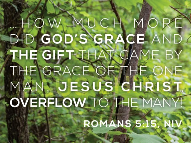 A tree with green leaves
AI-generated content may be incorrect.