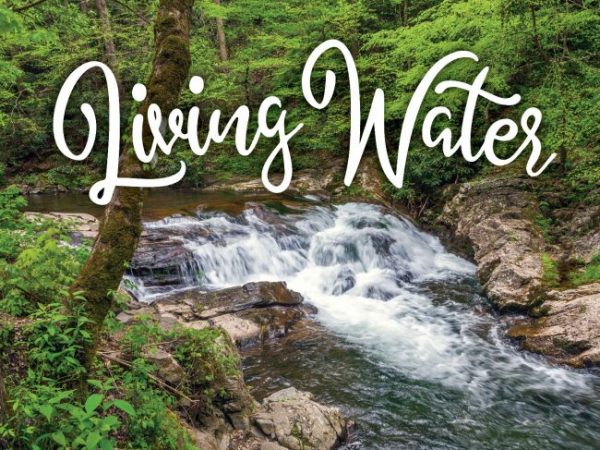 The image depicts a picturesque, flowing waterfall surrounded by lush, verdant forest foliage.
AI-generated content may be incorrect.