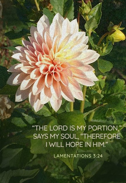 THE LORD IS MY PORTION, SAYS MY SOUL, THEREFORE I WILL HOPE IN HIM.
AI-generated content may be incorrect.