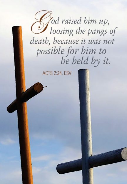 God raised him up, loosing the pangs of death
AI-generated content may be incorrect.