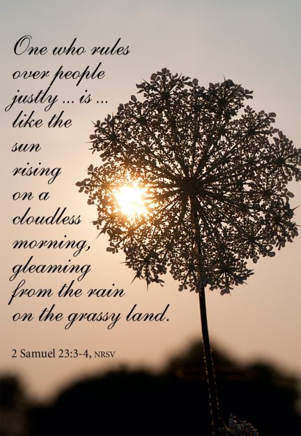 A close-up of a flower

Description automatically generated