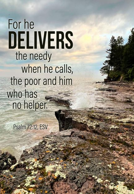 A rocky beach with water and trees

Description automatically generated