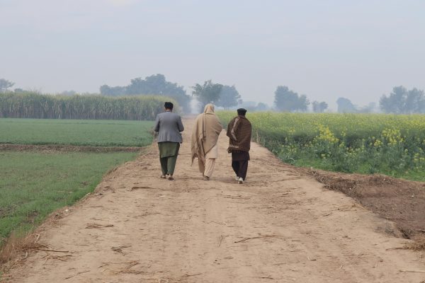 Three individuals walking on a dirt path through lush agricultural fields under a clear sky.